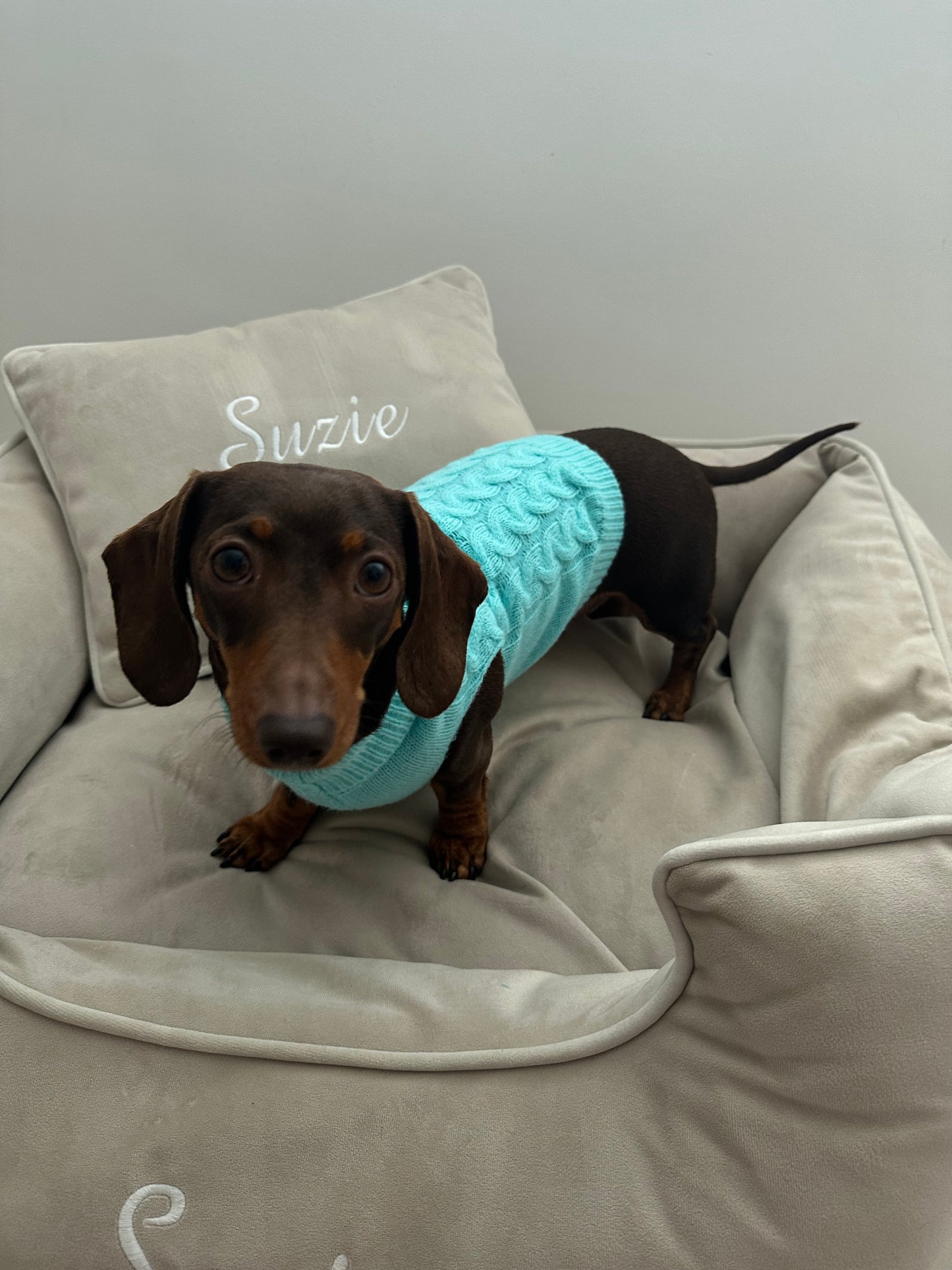 Turquoise Knitted Dog Jumper