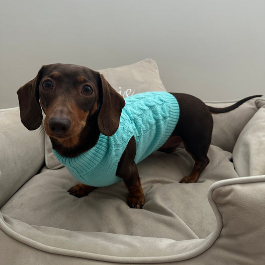 Turquoise Knitted Dog Jumper