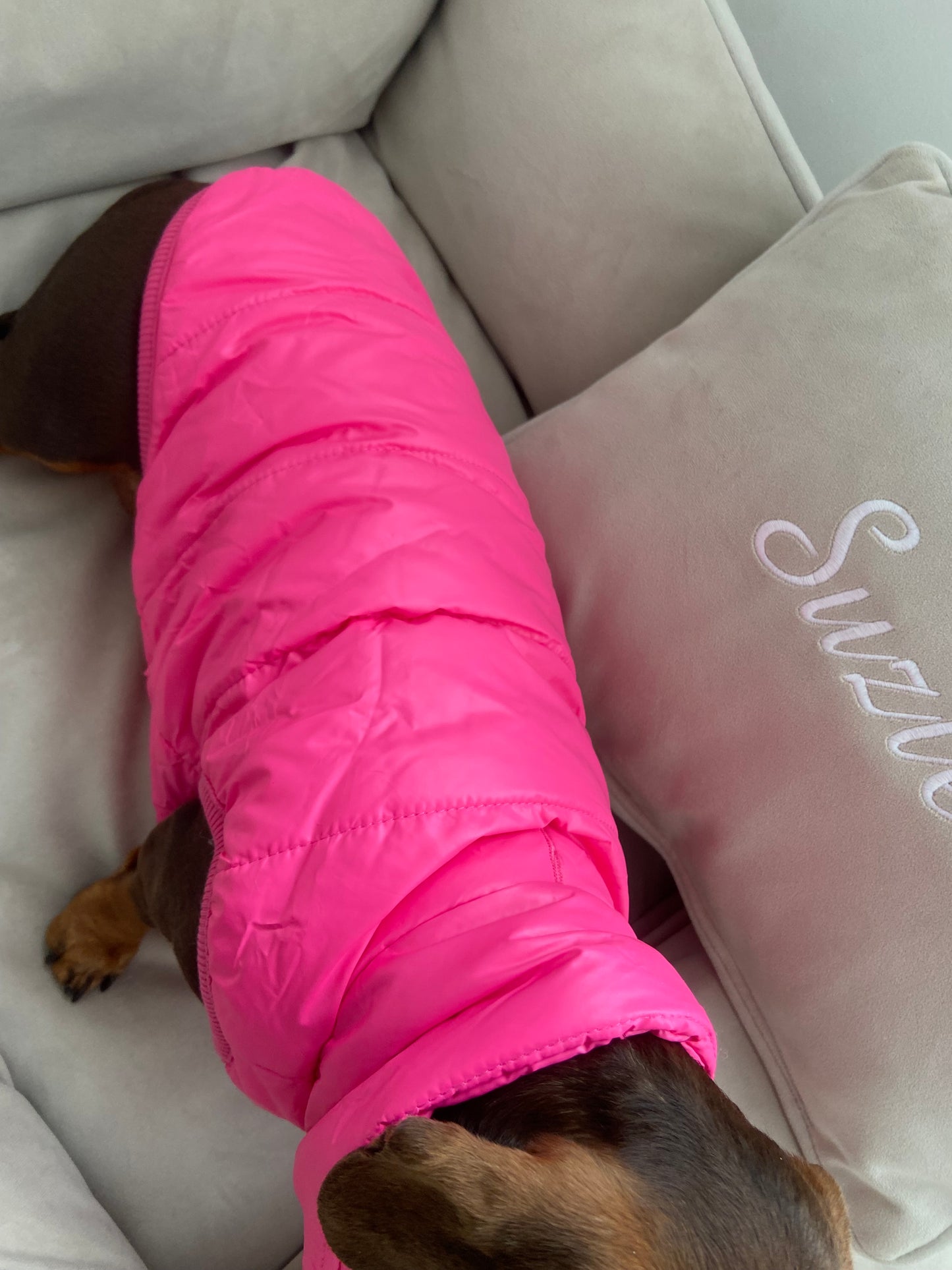 Pink Gilet