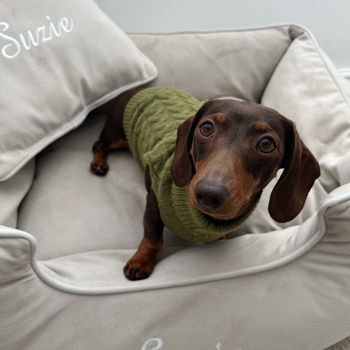 Khaki Knitted Dog Jumper