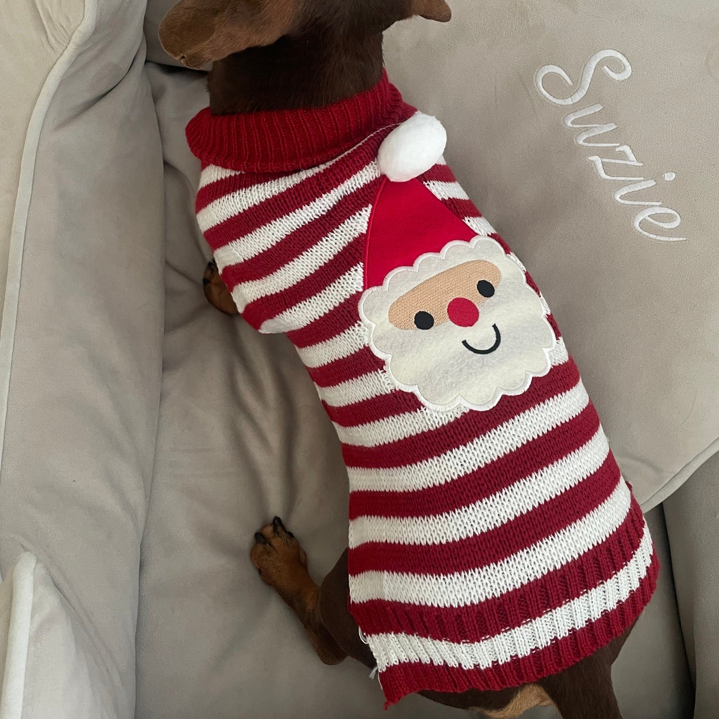 Santa Knitted Dog Christmas Jumper