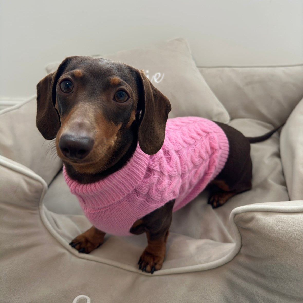 Pink Knitted Dog Jumper