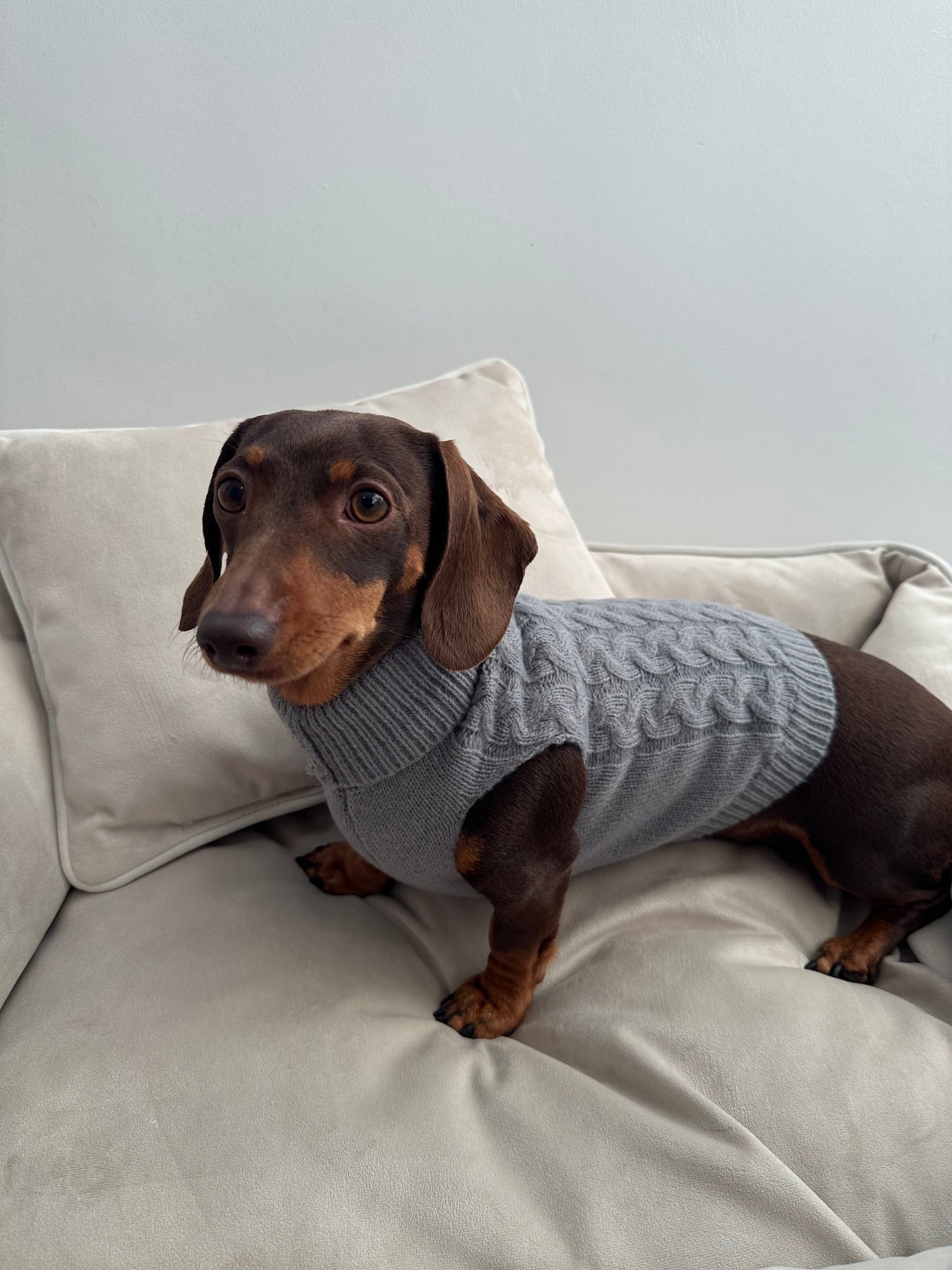 Grey Knitted Dog Jumper