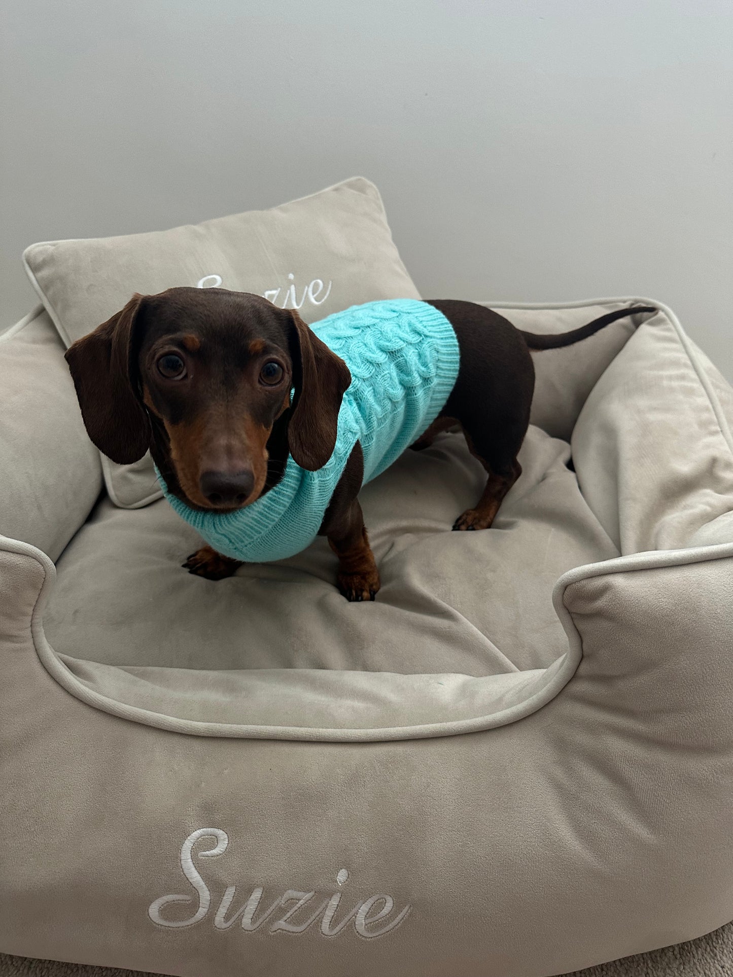 Turquoise Knitted Dog Jumper