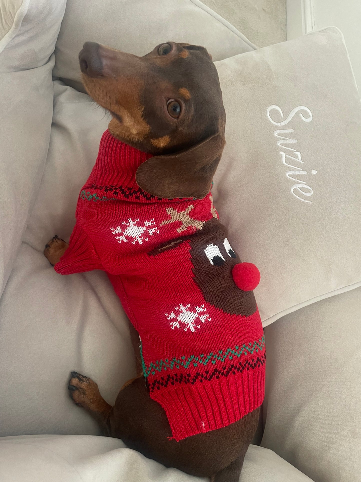 Reindeer Knitted Dog Christmas Jumper