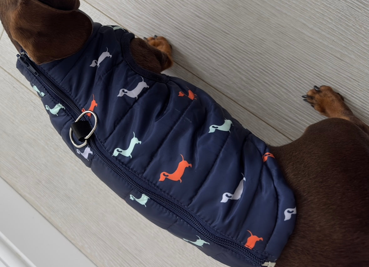 Sausage Dog Gilet