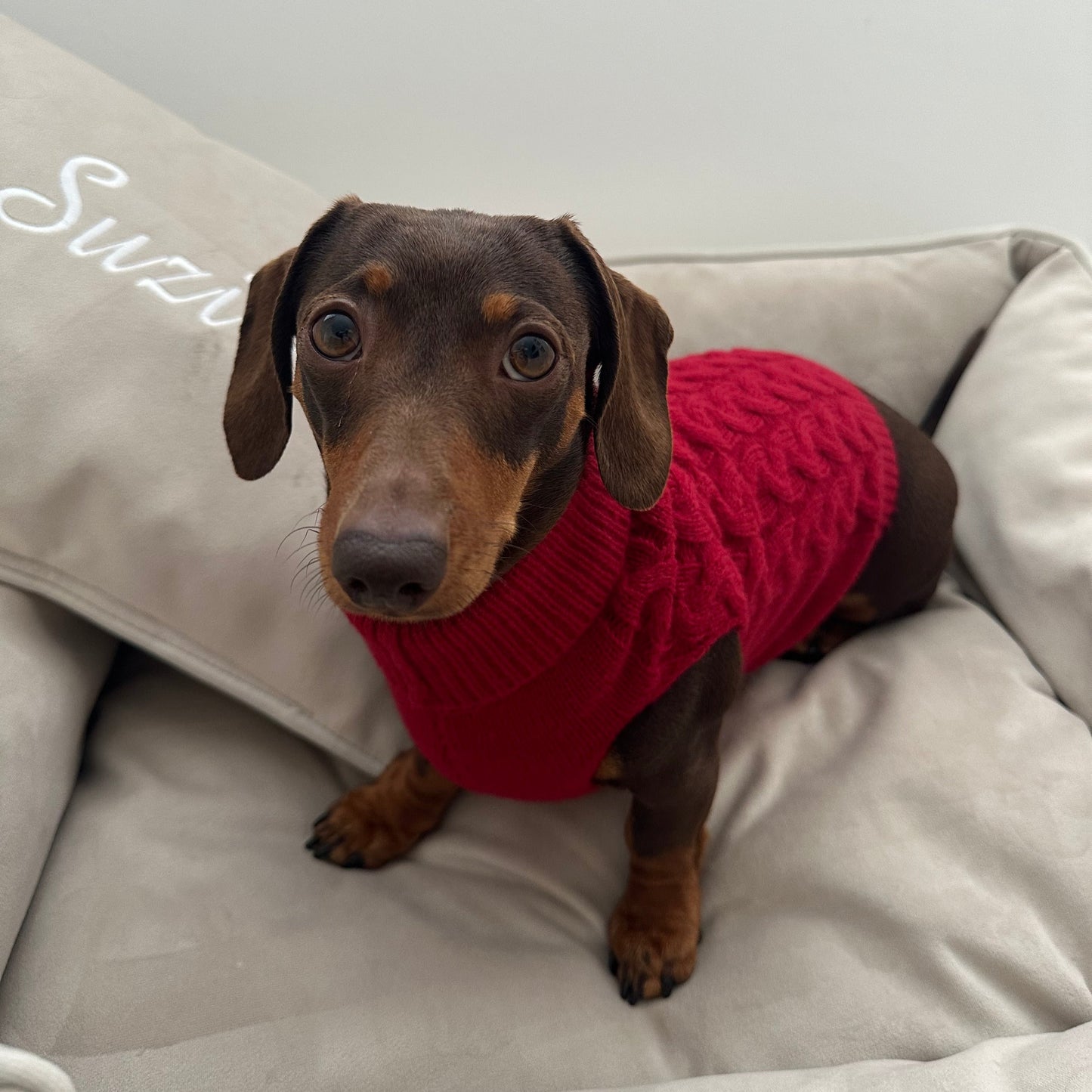 Burgundy Knitted Dog Jumper