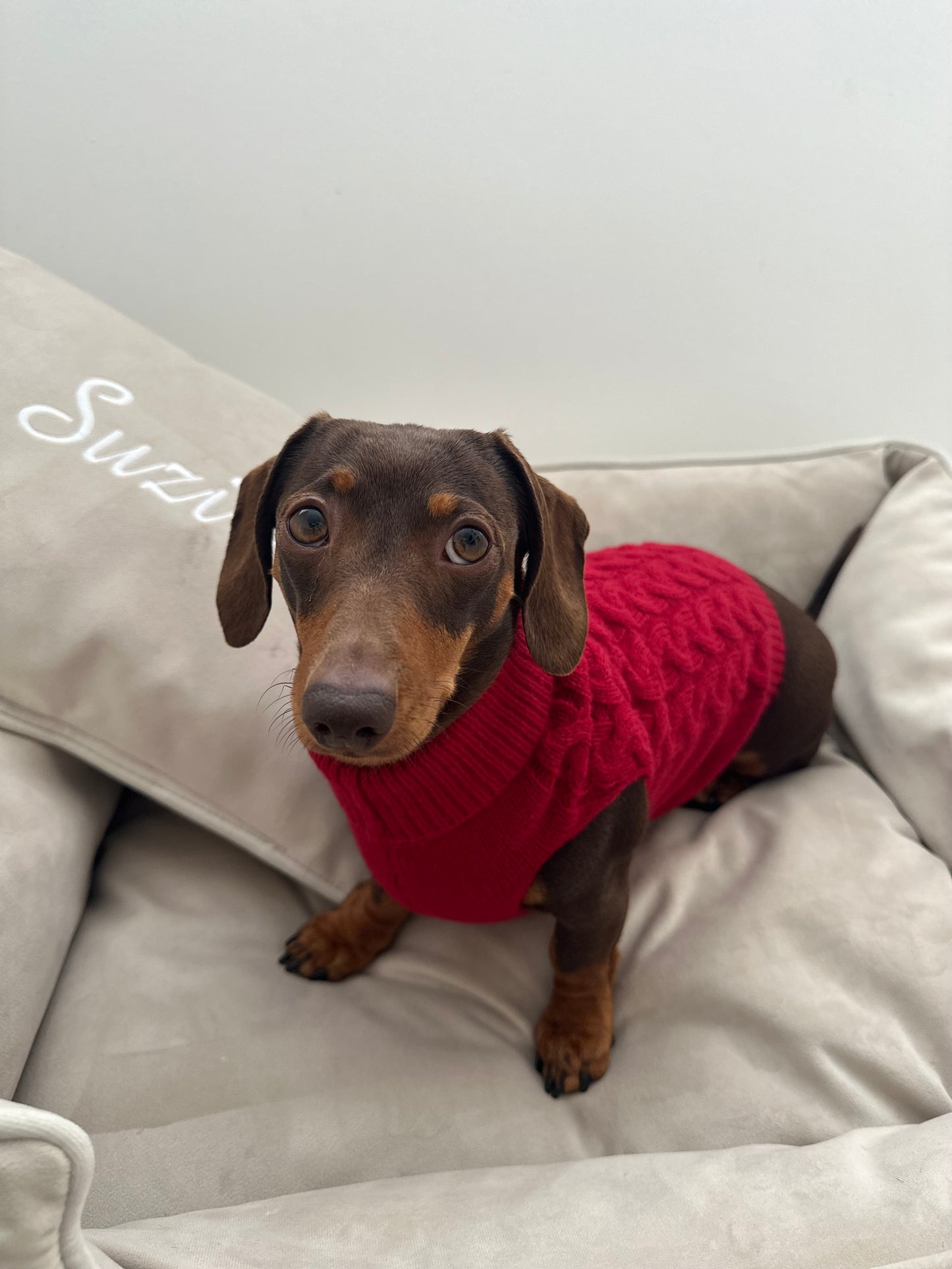 Burgundy Knitted Dog Jumper