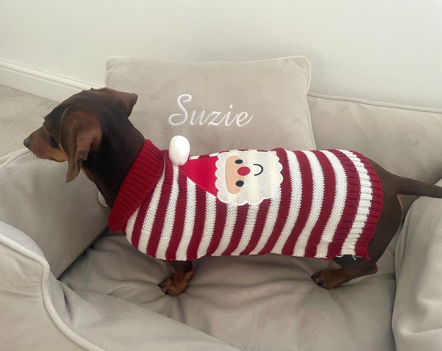 Santa Knitted Dog Christmas Jumper