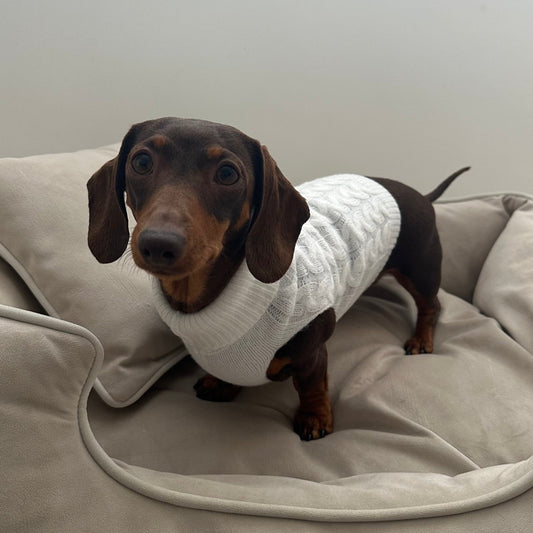 White Knitted Dog Jumper