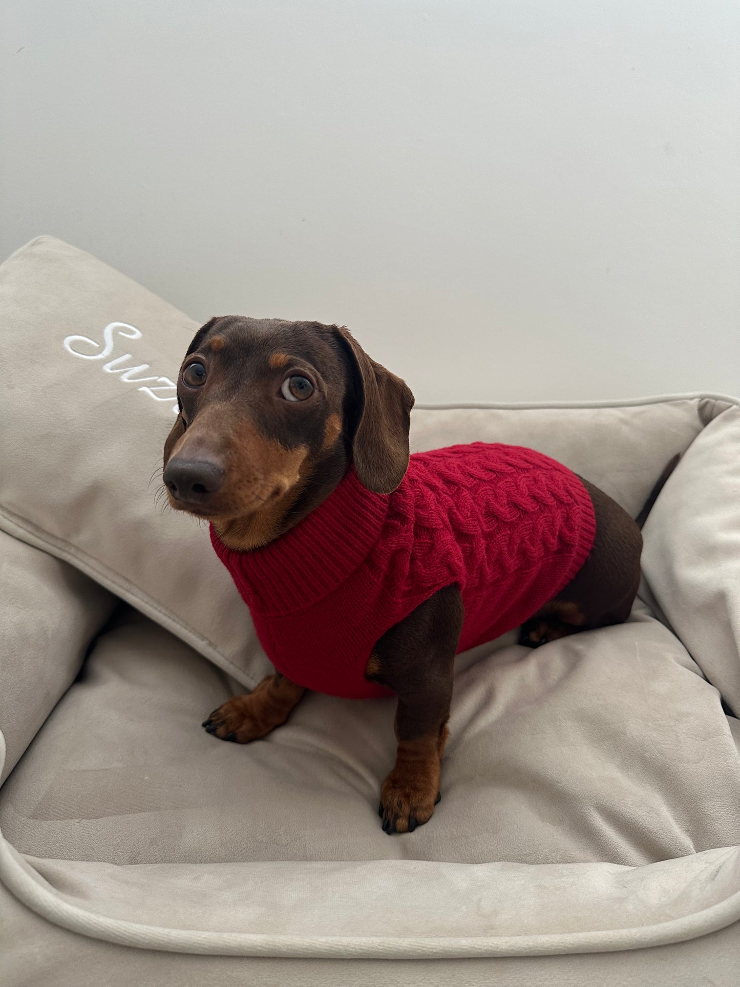 Burgundy Knitted Dog Jumper