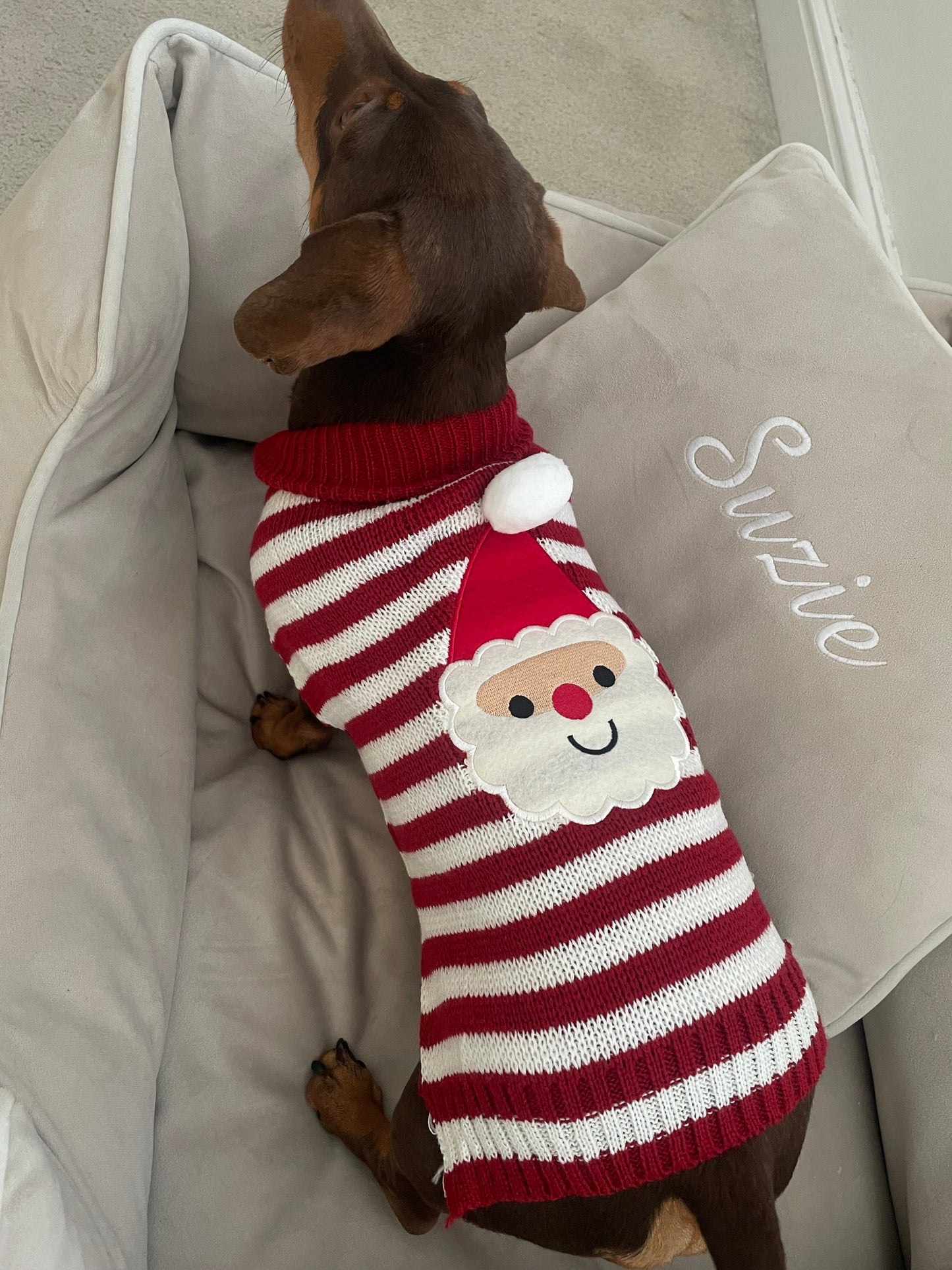 Santa Knitted Dog Christmas Jumper