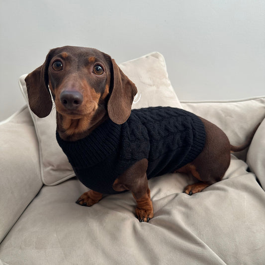 Black Knitted Dog Jumper