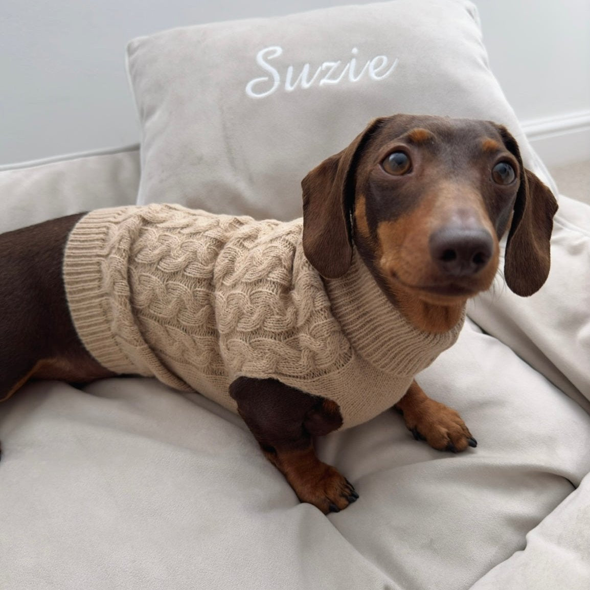 Beige Knitted Dog Jumper