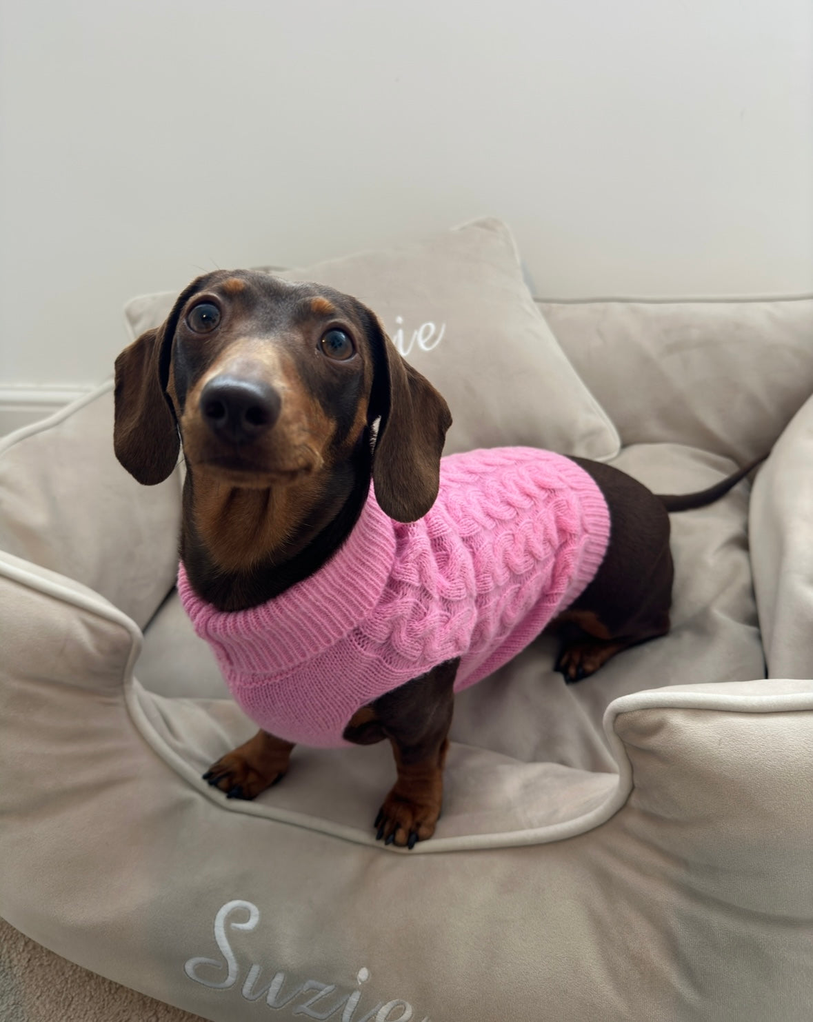 Pink Knitted Dog Jumper