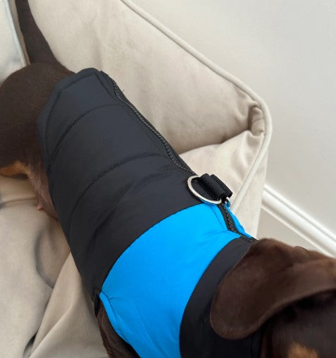Waterproof Dog Jacket – Black & Blue Puffer Gillet Coat for Small Dogs