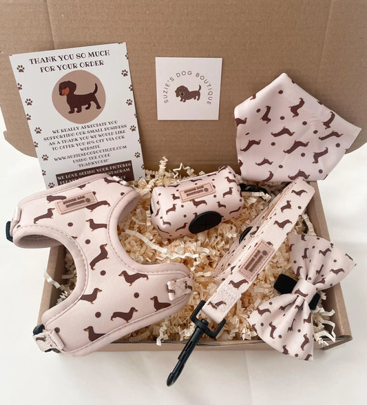 Dachshund Print Dog Harness Set