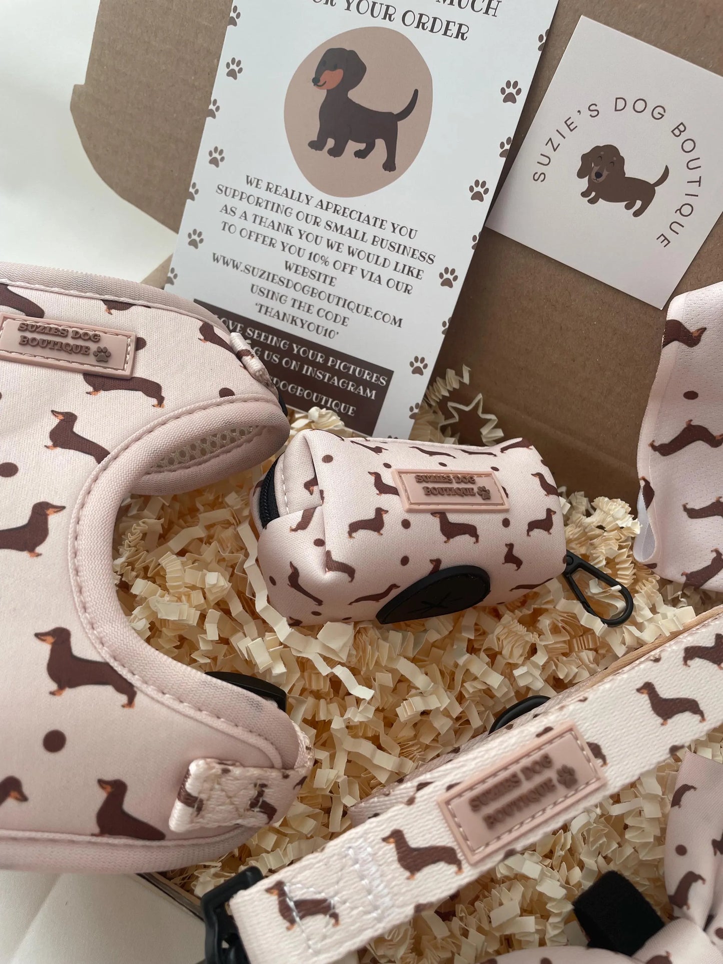 Dachshund Print Dog Harness Set