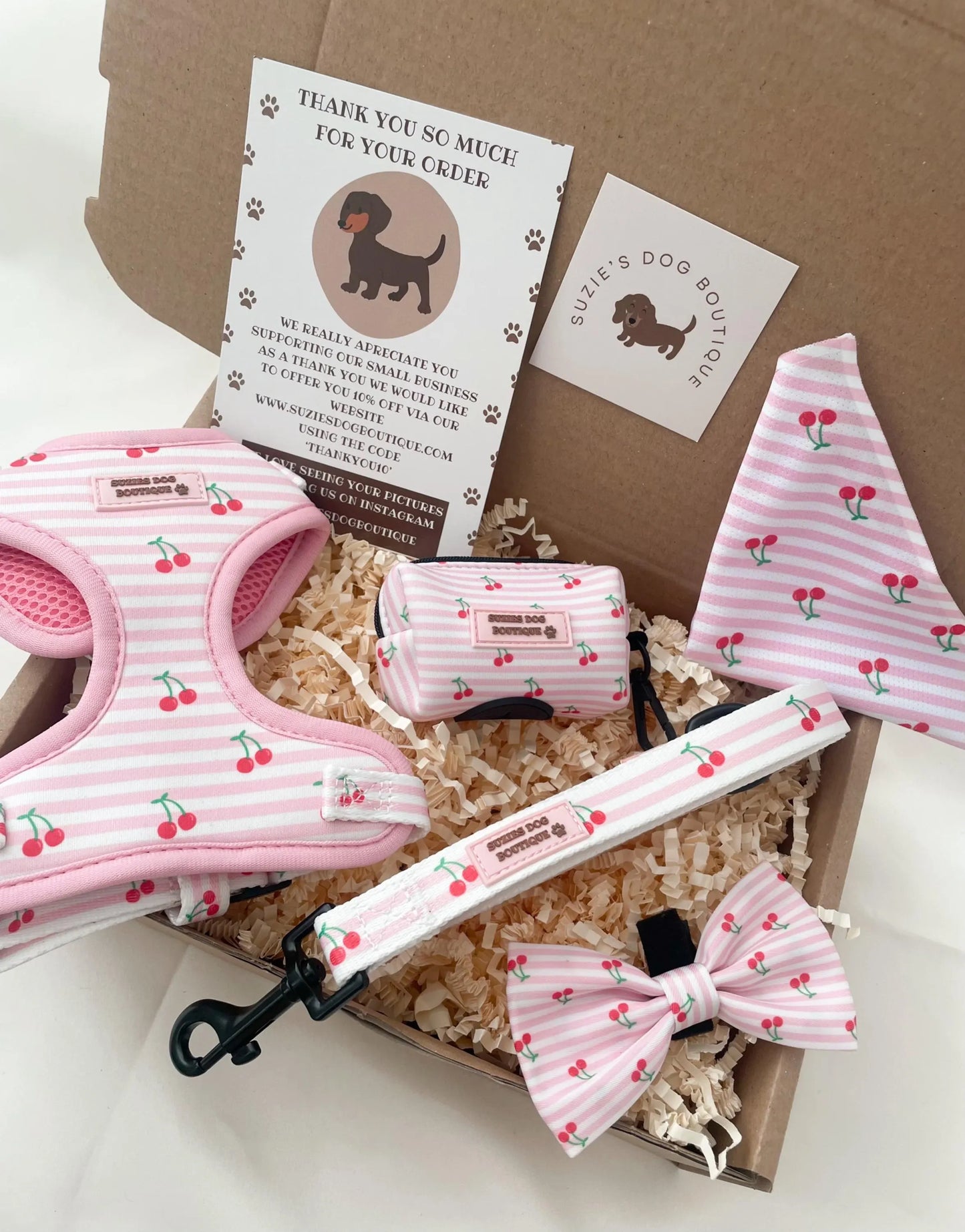 Cherry Striped Dog Harness Set