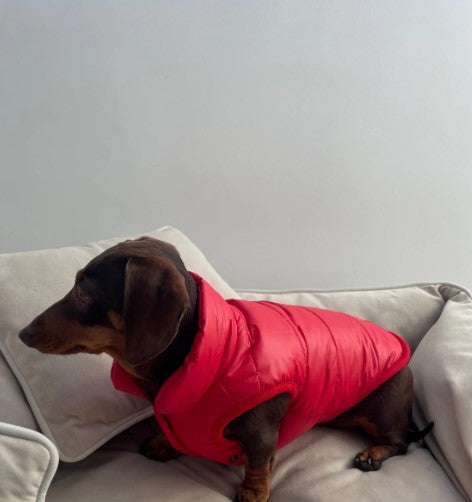 Red Puffer Dog Jacket – Warm Quilted Winter Coat for Dogs